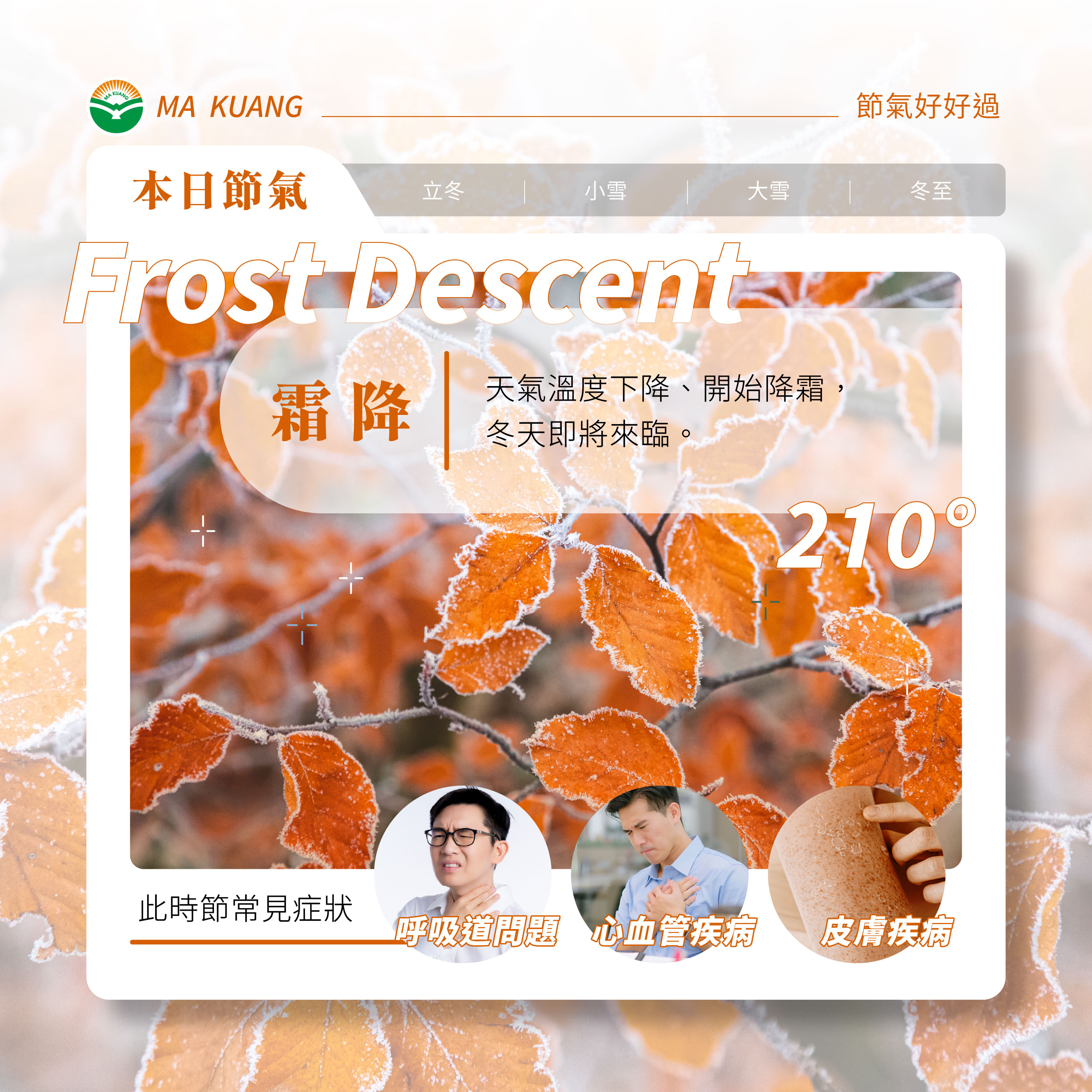 176101411326226.jpg